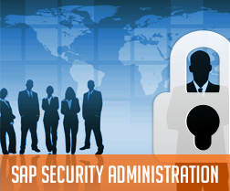 SAP Security Administration